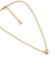 Ketting met Hanger - Polaris